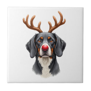 Carreau Renne Grand Danois Noël Grand Danois Chien Maman D