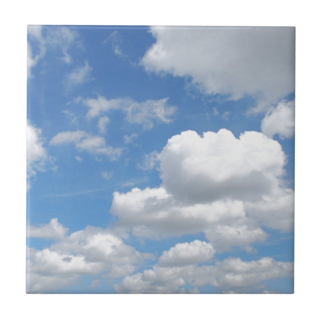 Carreau repos un moment (Devant)