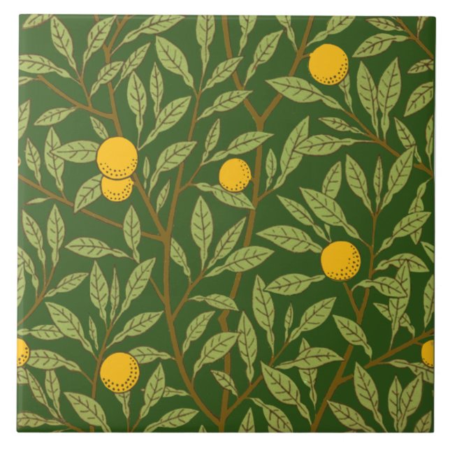 Carreau Repro Arts & Artisanat Oranges de fruits sur Dk Gr (Devant)