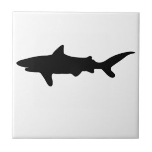 Carreau Requin