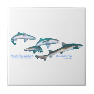 Carreau Requin basané