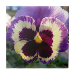 Carreau ressort coloré Pansy