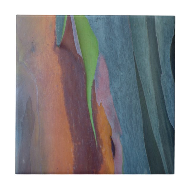 Carreau Résumé de l'arbre à gomme arc-en-ciel (Devant)