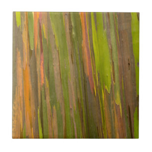 Carreau Résumé de l'écorce d'eucalyptus