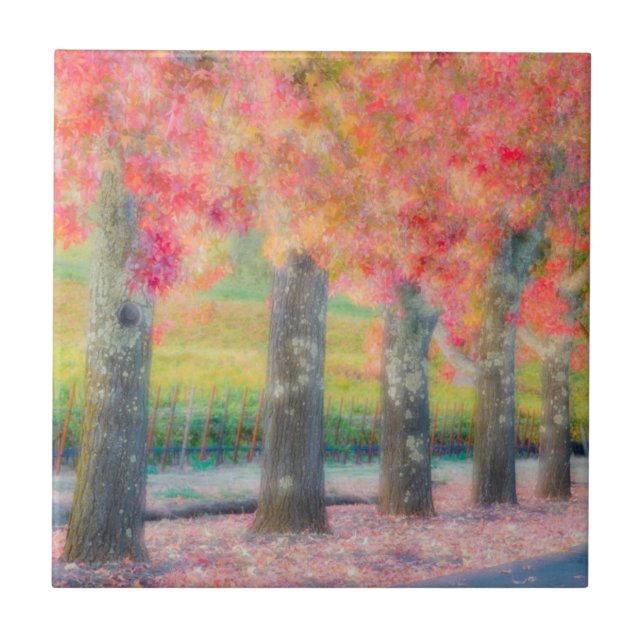 Carreau Résumé des arbres de la vallée de Napa (Devant)