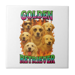Carreau Retriever doré