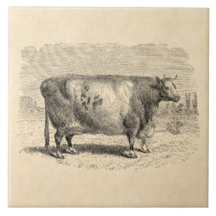 Carreau Rétro modèle de vaches de 1800s à grande vache