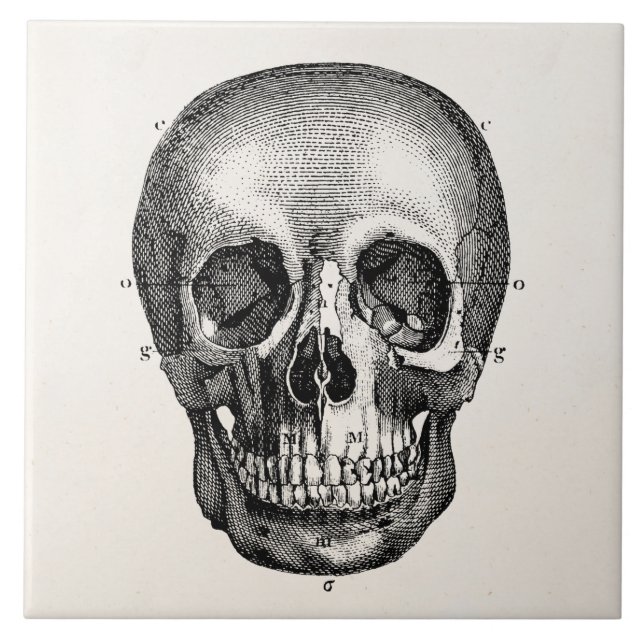 Carreau Rétros crânes de crâne vintage de 1800s (Devant)