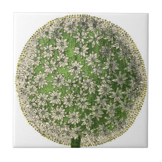 Carreau Rêves vintages - Dandelion