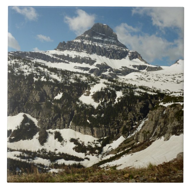 Carreau Reynolds Mountain depuis Logan Pass à Glacier Park (Devant)