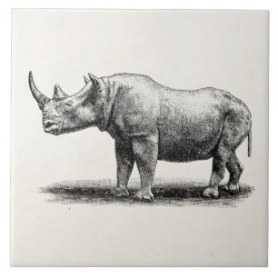 Carreau Rhinocéros vintages de rhinocéros d'illustration