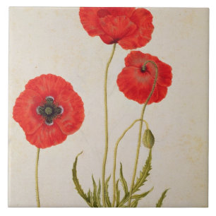 Carreau Rhoeas de Papavar, c.1568