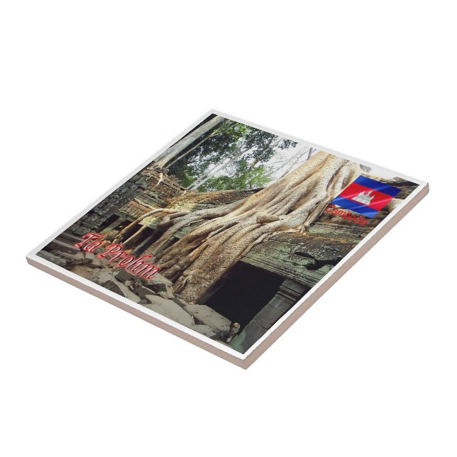 Carreau Rif. KH Cambodge, Ta Prohm, (Côté)