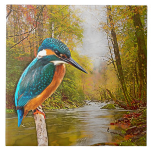 Carreau Rivière de martin-pêcheur