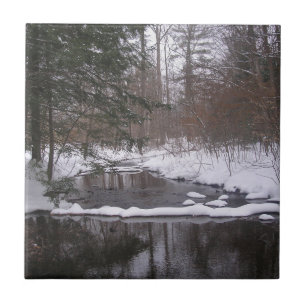 Carreau 'Rivière d'hiver'