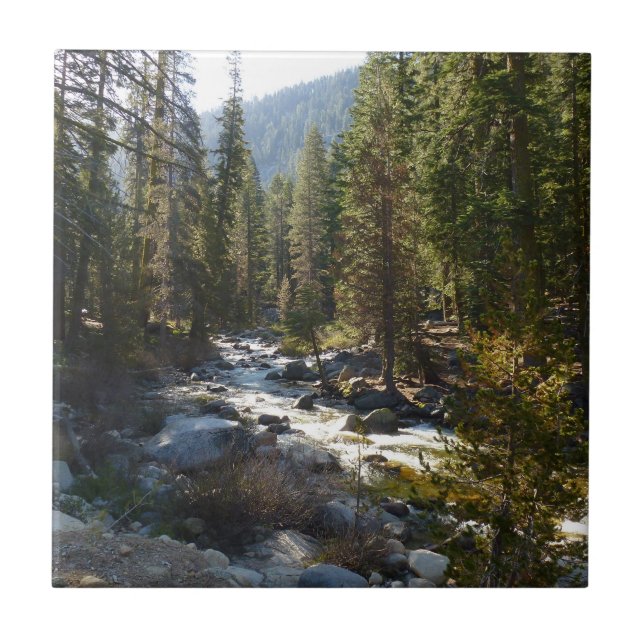 Carreau Rivière Kaweah dans le parc national de Sequoia (Devant)