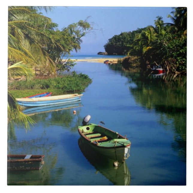 Carreau Rivière Pittoresque près de Ocho Rios en Jamaïque (Devant)