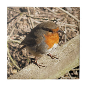 CARREAU ROBIN MIGNON