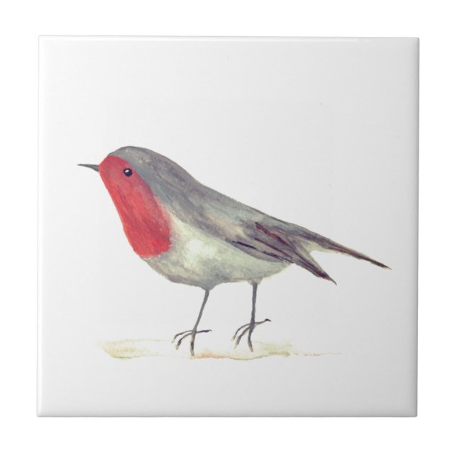 Carreau Robin Oiseau Faune Aquarelle Vintage colorée (Devant)