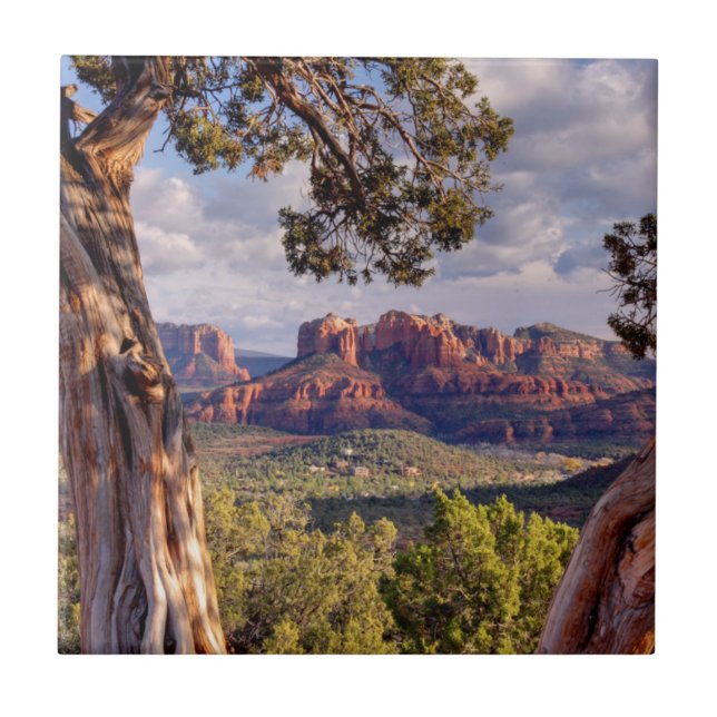 Carreau Roche rouge | Sedona Arizona (Devant)