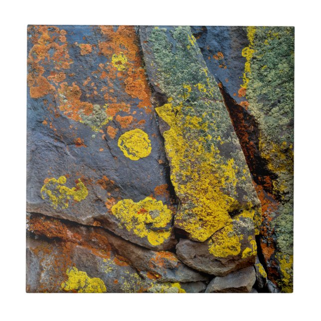 Carreau Rochers couverts de lichen (Devant)