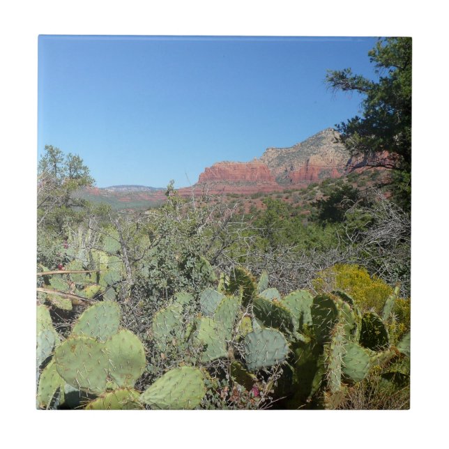 Carreau Rochers rouges et cactus I (Devant)