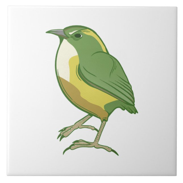 Carreau Rock Wren New Zealand Bird (Devant)