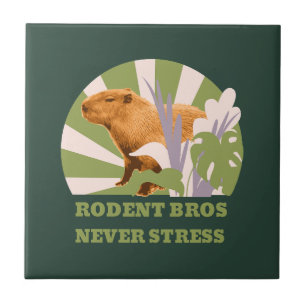 Carreau Rodent Bros ne jamais stress Capybara