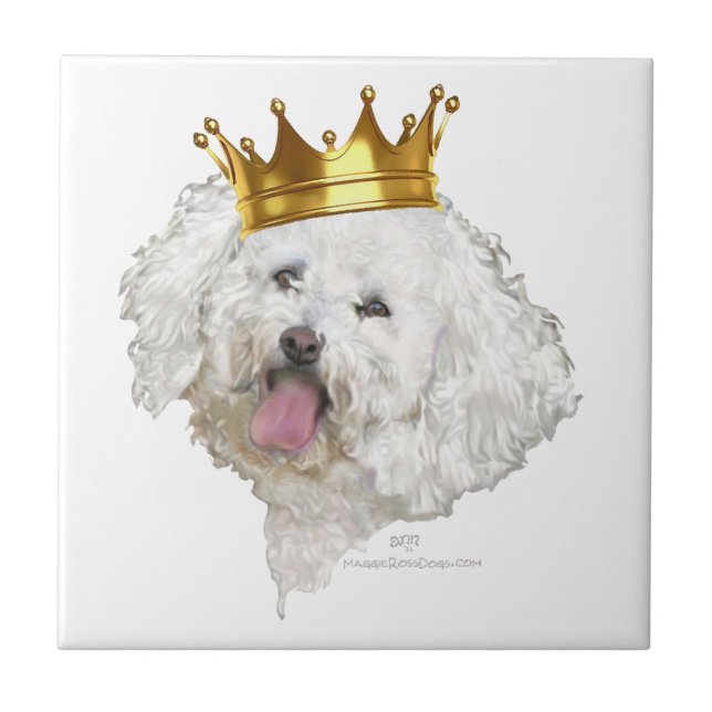 Carreau Roi Bichon Frise (Devant)