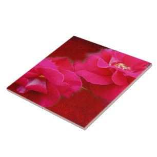 Carreau Romance et Roses rouges