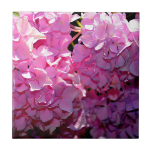 Carreau Romantique rose floral élégant hydrangeas