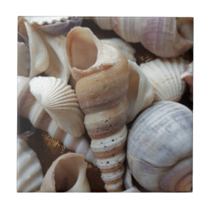 Carreau Romantique Tropical Exotic Sea Shells Plage Amour