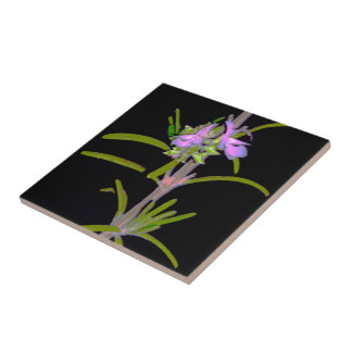 Carreau Romarin en fleurs