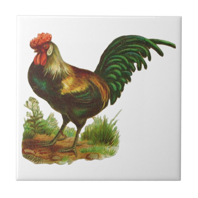 Carreau Rooster (Devant)