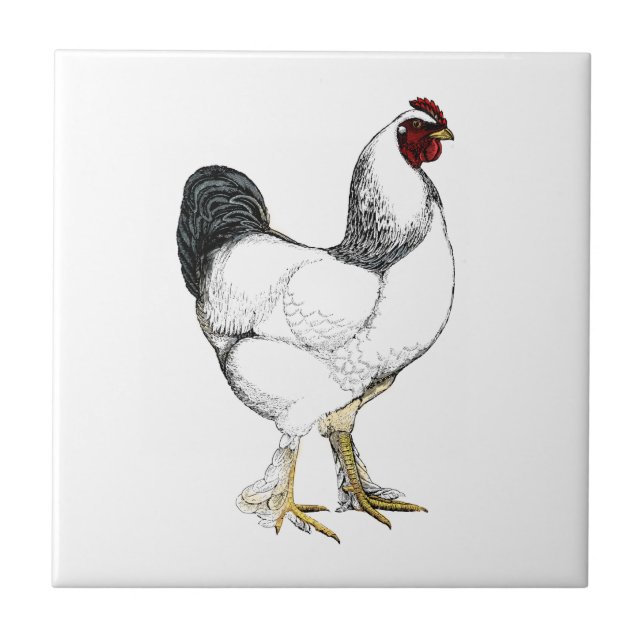 Carreau Rooster Brahma clair - Élégant poulet Vintage (Devant)