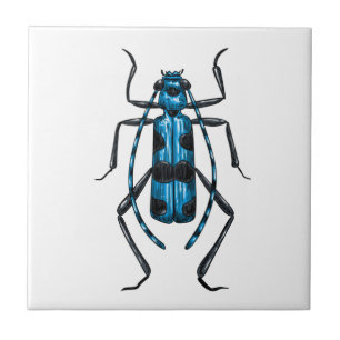 Carreau Rosalia Alpina