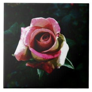 Carreau rose