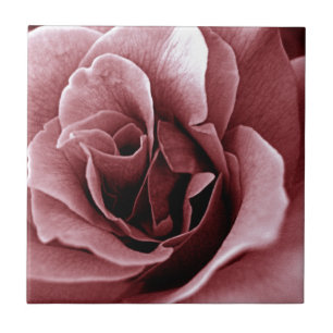 Carreau Rose