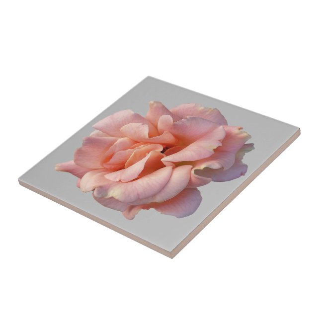 Carreau rose (Côté)