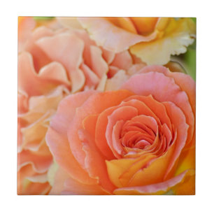 Carreau Rose à thé hybride orange