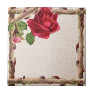 Carreau Rose ancienne vintage rustique victorienne antique