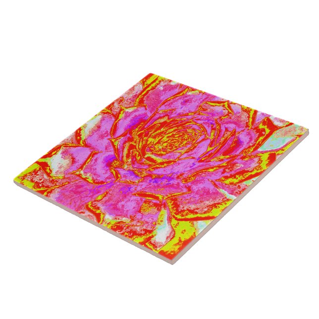 Carreau Rose Chaude, Rouge et Jaune Succulente Sedum Roset (Côté)