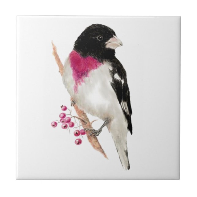 Carreau Rose d'aquarelle Grosbeak Breased Bird Faune (Devant)