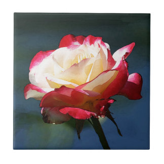 Carreau Rose de thé hybride de "double plaisir"
