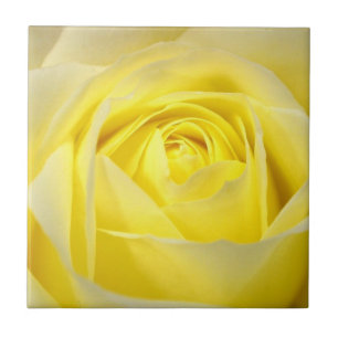 Carreau Rose jaune