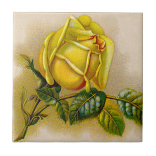 Carreau Rose jaune Antique Vintage Imprimer Art