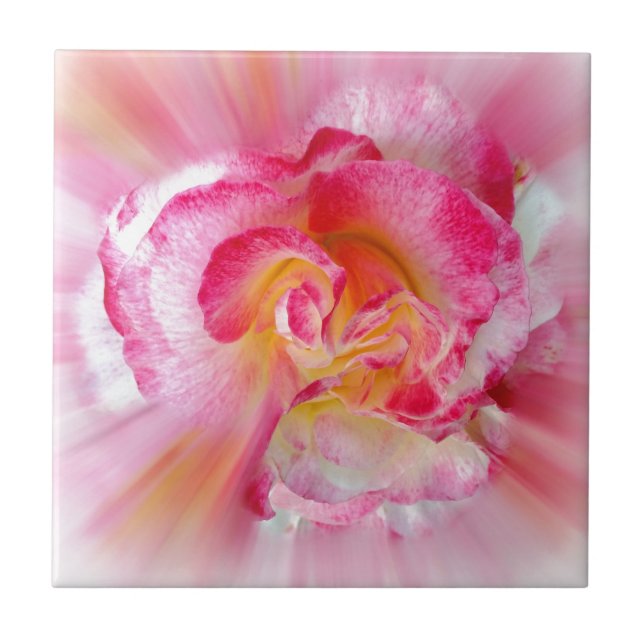 Carreau Rose jaune rose (Devant)
