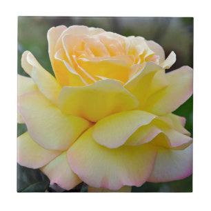 Carreau rose jaune simple