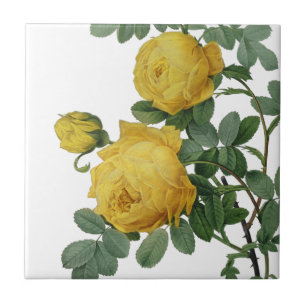 Carreau rose jaune vintage