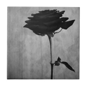 Carreau Rose noir gothique
